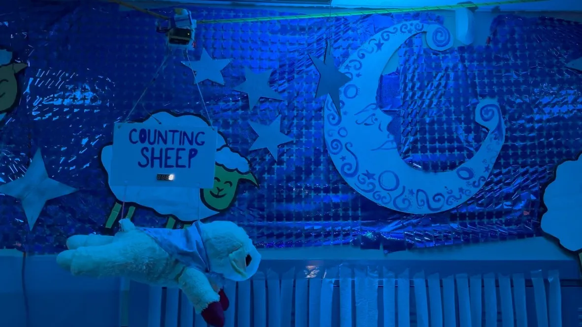 Rope-Travelling Counting Sheep